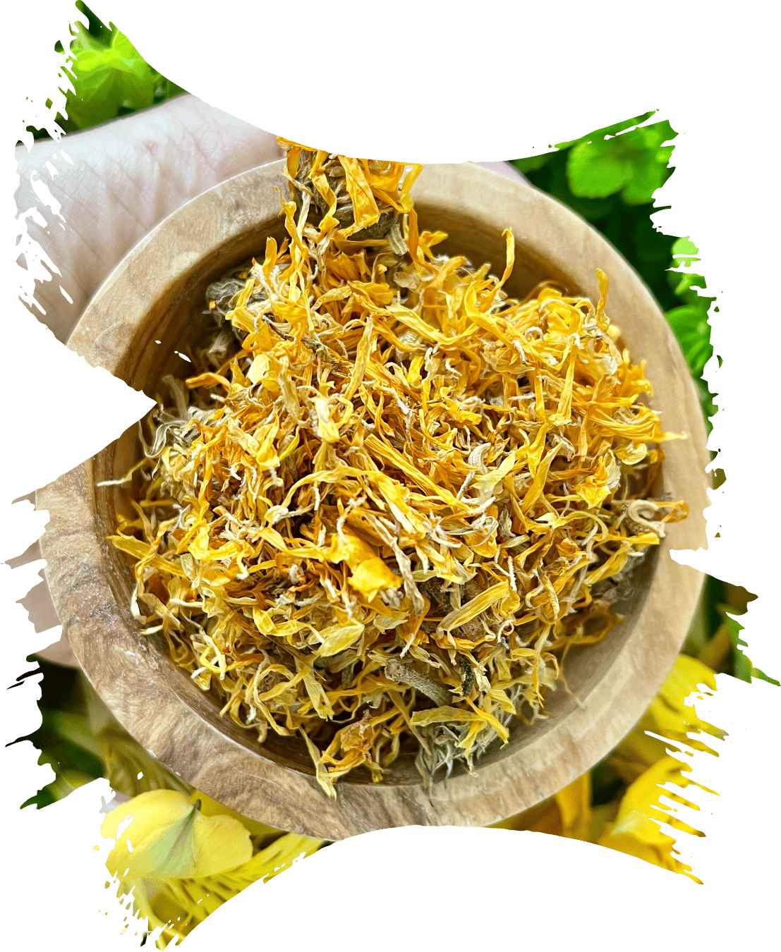 DRIED Calendula flowers 100g - Perfectstopover Collections