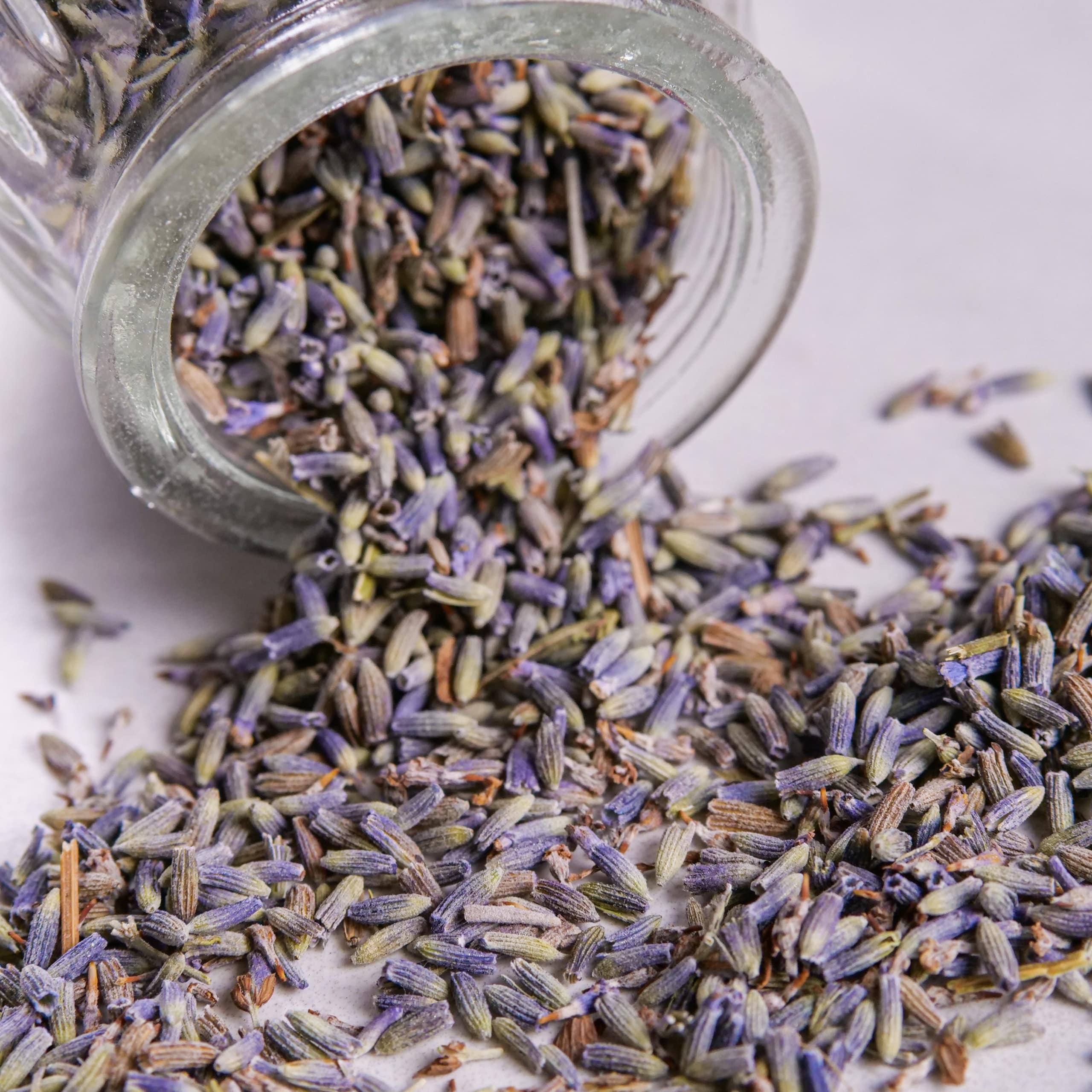 Dried Lavender Flowers - Dried Lavender Uses & Benefits